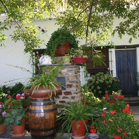 Apartamentos Y Casas Rurales Las Terrazas De La Alpujarra Bubión Kültér fotó